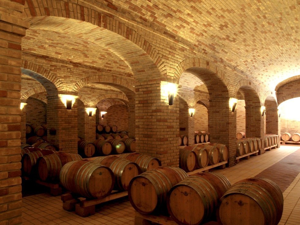 Укладка клинкера и камня в интерьере