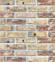 Клинкерная плитка ручной формовки Westerwaelder R22 WK916 Norderney, 215*65*22 мм